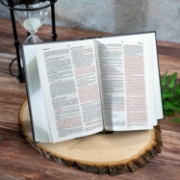 Imagen de Biblia Nueva Versión Internacional para Regalos y Premios, Tapa dura, negro