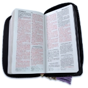Imagen de Bibllia RVR60 15CZTI/ Chequera Lila-Negro/ Cierre