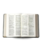 Imagen de Biblia de referencia RVR1960 con enciclopedia ilustrada (Similpiel negro)