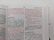 Imagen de Biblia RVR1960 letra grande. Tapa Dura, Tela rosada con flores, tamaño manual
