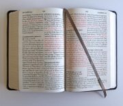 Imagen de Biblia RVR1960 Letra gigante, símil piel, gris (Edición cantos pintados)