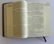 Imagen de Biblia de apuntes RVR60 Tapa dura, Negro y oro, cantos pintados