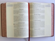 Imagen de Biblia de Apuntes RVR60 Tapa dura, Vino tinto, cantos pintados