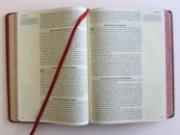 Imagen de Biblia de Apuntes RVR60 Tapa dura, Vino tinto, cantos pintados