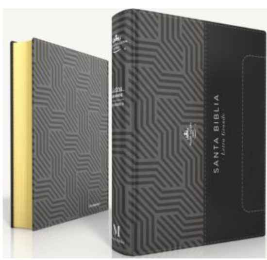 Imagen de Biblia RVR60 035c PJR bicolor negro/gris