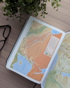 Imagen de Biblia de estudio del diario vivir NTV (SentiPiel, Negro, Letra Roja)