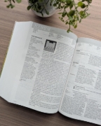 Imagen de Biblia de estudio del diario vivir NTV (Tapa dura, Letra Grande, Letra Roja)