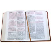 Imagen de RVR60, Biblia de estudio de la vida plena, Edición clásica, Leathersoft dos tonos Café, Palabras de Jesús en rojo, Comfort Print