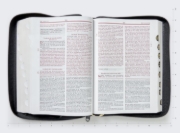 Imagen de RVR60, Biblia de Estudio de la Vida Plena, Edición Clásica, Leathersoft, Negro, Palabras de Jesús En Rojo, Comfort Print, Con Índice Y Cierre