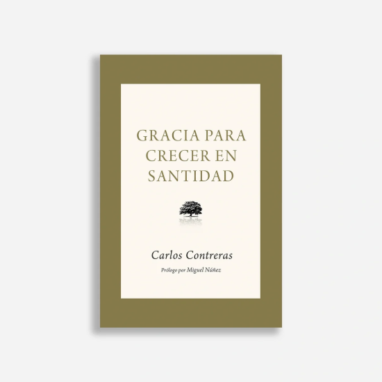 Imagen de Gracia para crecer en santidad