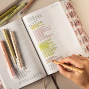 Imagen de Bible   Gel   Highlighters   and   Pens   No   Bleed   -   Set   of   8   Earthy   Colors