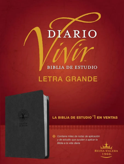Imagen de Biblia de estudio del diario vivir RVR60, letra grande (Semipiel, Carbón)