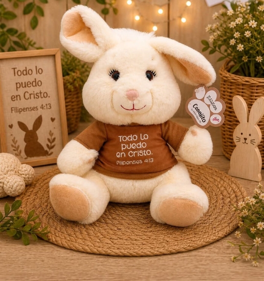 Imagen de Muñeco de Peluche - Conejo