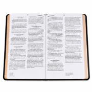Imagen de Biblia RVR1960 Obsequios y Premio Letra Grande Manual Moka Aguila