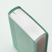 Imagen de Biblia RVR60 Tamaño Compacto Letra Grande Neoclassic / Turquesa