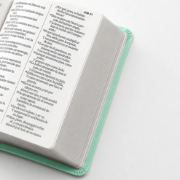 Imagen de Biblia RVR60 Tamaño Compacto Letra Grande Neoclassic / Turquesa