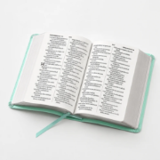 Imagen de Biblia RVR60 Tamaño Compacto Letra Grande Neoclassic / Turquesa