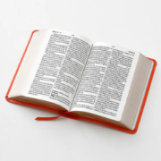 Imagen de Biblia RVR60 Tamaño Compacto Letra Grande Neoclassic / Coral