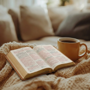 Imagen de Biblia RVR60 Obsequios y Premios Cafe Refinado