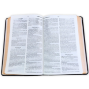 Imagen de Biblia RVR60 Obsequios y Premios Cafe Refinado