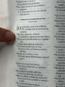 Imagen de Biblia Vintage RVR60c Rosa/Café