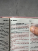 Imagen de Biblia Vintage RVR60c Rosa/Café