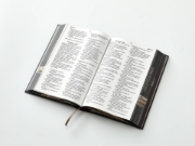 Imagen de Biblia RVR60 Tamaño manual Letra Grande Tapa dura con elástico: León de Judá