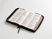 Imagen de Biblia RVR1960 Manual Letra Grande negro/negro