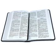 Imagen de Biblia RVR60 065c Imitación piel León