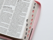 Imagen de Biblia RVR60 Letra Súper Gigante, piel Café, Rosa Mariposas con cierre, índice