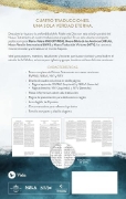 Imagen de El Nuevo Testamento en cuatro versiones, (RVR60, NBLA, NVI, NTV), Columnas paralelas, Tapa dura/tela, Azul marino